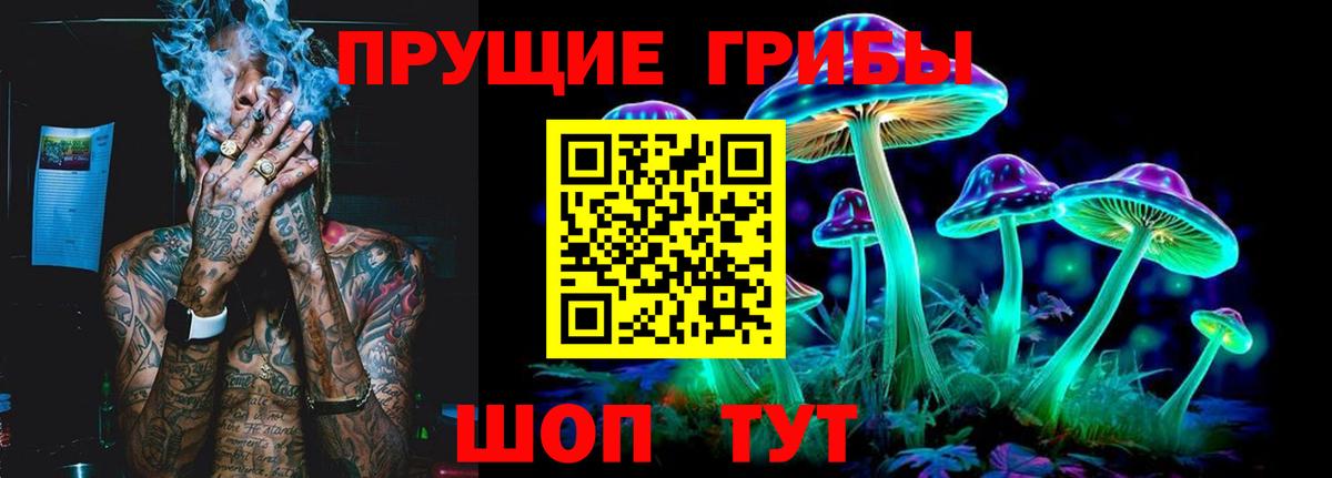 Псилоцибиновые грибы Cubensis  Вход с VPN  Анапа 